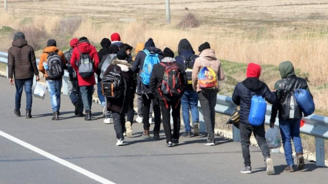 311896-w01-13521722359455