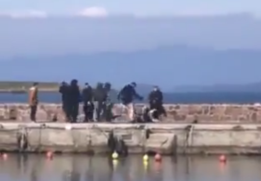 Screen Shot 2020-03-03 at 2.40.20 μμ