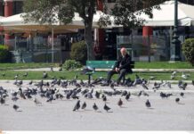 Καλά μας έκλεισαν μέσα. Τώρα δεν ξέρουν πως να μας βγάλουν