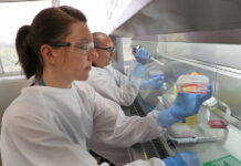 «Η πανδημία μπορεί να κρατήσει ακόμη και δυο χρόνια» επισημαίνει νέα έρευνα