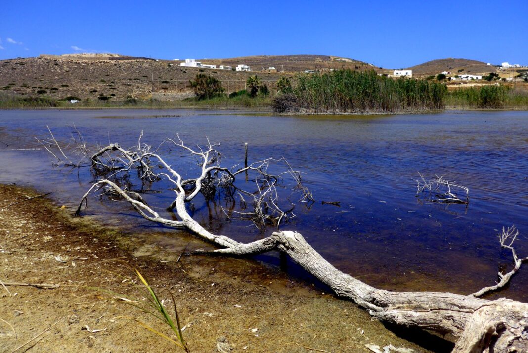 periballon-kai-prassein-aloga