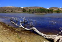 Περιβάλλον και «Πράσσειν άλογα»