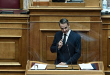 Μητσοτάκης: Στην Ελλάδα υπάρχει υπερύθμιση στην προστασία του περιβάλλοντος